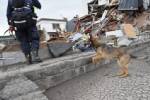 A breath detector to find disaster victims