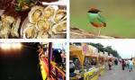 เพชรบุรีชวนเที่ยวงาน “กินหอย ดูนก ตกหมึก”