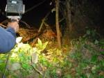 พบศพชายนิรนามถูกยิงหัวลอยติดต้นไม้ริมคลองปลุก
