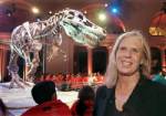 T. rex was bigger than thought: study