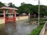 น้ำท่วมวนอุทยานโกสัมพี ลิงขาดแคลนอาหารหนัก