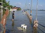 ชาวบ้านจัดสรรในอุบลฯร้องรัฐขอยืดเวลาผ่อนชำระบ้านน้ำท่วม