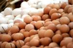 ไข่ไก่ขาดตลาดชายแดนแม่สอด-โควตาสั่งซื้อลดฮวบเหลือวันละพันแผง