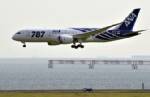 พบเหตุขัดข้องแรก-“โบอิ้ง787”ของสายการบินANAล้อไม่กางขณะลงจอด