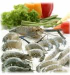 ASIAN ปลื้มQ3กำไรขั้นต้นพุ่งหนุนผลดำเนินงาน