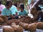นักวิชาการด้านสิ่งแวดล้อม  ติงการใช้ EM ball แก้ปัญหาน้ำเน่าเสียไม่ได้
