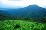 ททท.ชวนชมดอกซากุระเมืองไทยที่ขุนสถาน จ.น่าน