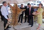 Thai officials find tiger parts in the post