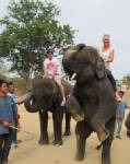 "วอซซิลรอย" เผยเชียร์ "หงส์-ผี" รักกันได้สบาย