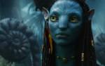 Avatar 2 อาจต้องรอนานถึงปี 2016