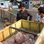 สธ.สระแก้ว เตือนคนไทยที่บริโภคหนูนานำเข้าจากเขมร หวั่นติดเชื่อโรค