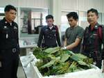 นศ.มหาวิทยาลัยดัง เอเยนต์ใหญ่ส่งยาแก้ไอ-ใบกระท่อม 3 จชต.
