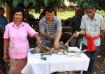 ชาวตรังฮือฮาพบลูกวัว 8 ขาแห่ไปขอเลขเด็ดก่อนวันหวยออก
