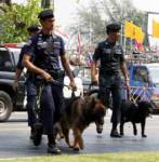 “สุชาติ” ส่ง “สุนัขตำรวจ” ค้นยาในโรงเรียน