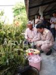 ผู้ว่านครศรีฯ สั่งเดินหน้าปราบพืชกระท่อม
