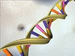Genes and gender: new shots fired on the Y front