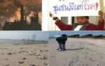 บาดแผล....ของภาคตะวันออก/บรรจง นะแส