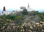 ททท. เพชรบุรี ชวนเที่ยว “งานพระนครคีรี-เมืองเพชร”