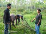 ตร.สตูล บุกตรวจค้นยาเสพติด