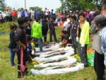 ปิกอัพขนต่างด้าวแหกด่านตกคลองตาย 7 ศพ เจ็บนับสิบ