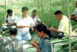 หัวหน้าอุทยานฯตีแสกหน้า ปชป.ตรัง นำทีมทำลายแปลงยางโฉนดชุมชน