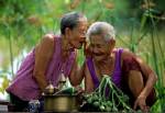 “วิทยา” ชูลดโรค เพิ่มสุขเป็นของขวัญให้ผู้สูงอายุ