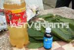 ยาเสพติดลามถึง 8 ขวบ ผู้นำชุมชนนราฯ ยันเจอทุกครัวเรือน