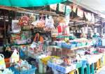 การค้าภายในตรัง เชิญร้านโชวห่วยร่วมโครงการ โชวห่วยช่วยชาติ “ร้านถูกใจ”