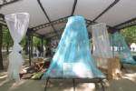 ชี้สภาพอากาศยุโรปเหนือเริ่มเป็นใจให้ยุงลายจากเอเชียมากขึ้น