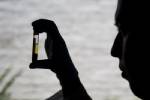Scientists find gene that inhibits pancreas cancer spread
