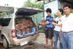 สืบจังหวัดสระแก้วโชว์จับไม้พะยูง&amp;#8207;เตรียมส่งออก