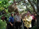 ปราจีนบุรี จัดงานวันเกษตรปราจีนบุรีครั้งที่ 48 อย่างยิ่งใหญ่