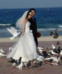 Newlywed stabbed to death in wedding dress
