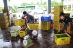 ล้งซื้อผลไม้เมืองตราด หวั่นไม่ได้เงินคืนหลังยกเลิกโครงการ คชก.