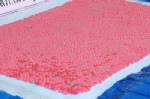 จับลูกรองนายก อบต.อำนาจเจริญขนยาเสพติดมูลค่ากว่า 120 ล้าน