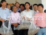 รัฐฯ ยอมทุ่มงบ 500 ล้านแทรกแซงราคากุ้ง 3 เดือน