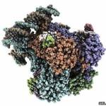 พบชิ้นส่วน DNA เขียนข้อมูลใหม่ได้เหมือนหน่วยความจำคอมพ์