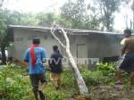 ฝนตกหนักทำต้นยางโค่นทับบ้านแม่หม้ายสาว โชคดีไร้คนเจ็บ