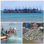 การนิรโทษกรรมเรือประมงอวนลากเถื่อน : อีกครั้งของความล้มเหลวในการจัดการประมงทะเลไทย