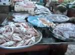 คลื่นลมมรสุมแรง ทำตลาดอาหารทะเลตรังลด 50% แผงปลาหยุดชั่วคราว