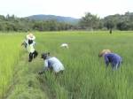เผยเหตุไทยไร้งบดูแลจัดการน้ำเพราะตั้งใจทิ้งภาคเกษตร