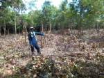 ชาวบ้านสุดทนนายทุนรุกยึดพื้นที่ป่าสงวนแห่งชาติ ป่าเฉลิมพระเกียรติ