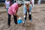 ฐานทัพเรือสัตหีบปลูกต้นฝ้าย 2,600 ต้นเฉลิมพระเกียรติ ”สมเด็จพระบรมฯ”
