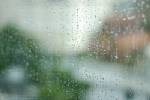 คร.เตือนหน้าฝนระวังป่วย! ไข้เลือดออก ฉี่หนู หวัดใหญ่