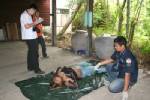 สาวผูกคอตายดับคาบ้านร้าง ย่านพระโขนง