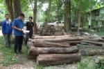 ยึดไม้พะยูงกว่า 40 ท่อนที่ท่าอุเทน
