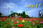 ททท. ชวนเที่ยวนครนายก ชมมหกรรมไม้ดอกไม้ประดับ