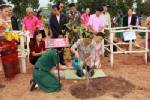 ชาวนครพนมร่วมปลูกป่าพันธุ์ไม้ในวรรณคดี-พันธุ์ไม้มงคล เฉลิมพระเกียรติ