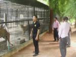 เตรียมแผนย้ายสัตว์ป่าของกลางสัตว์ผู้ล่าทั่ว ปท.ไปที่ราชบุรี