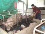 สะพัด! กำนันเรียกเหยื่อถูกตัดน้ำคุยเรียงตัว ย้ำไม่ควรฝืนกฎหมู่บ้าน
